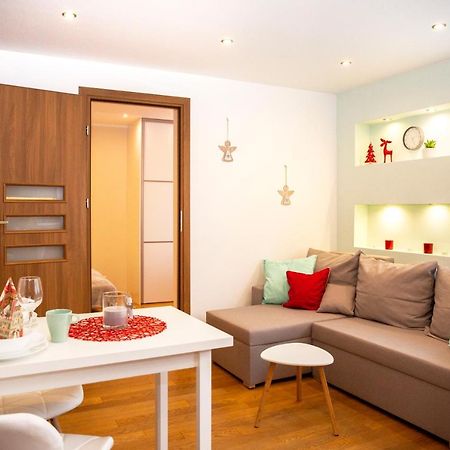 Apartament Bieszczadzkie Anioly Apartment Ustrzyki Dolne Luaran gambar